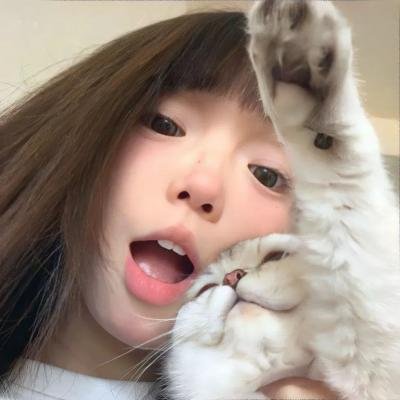 小象守护者