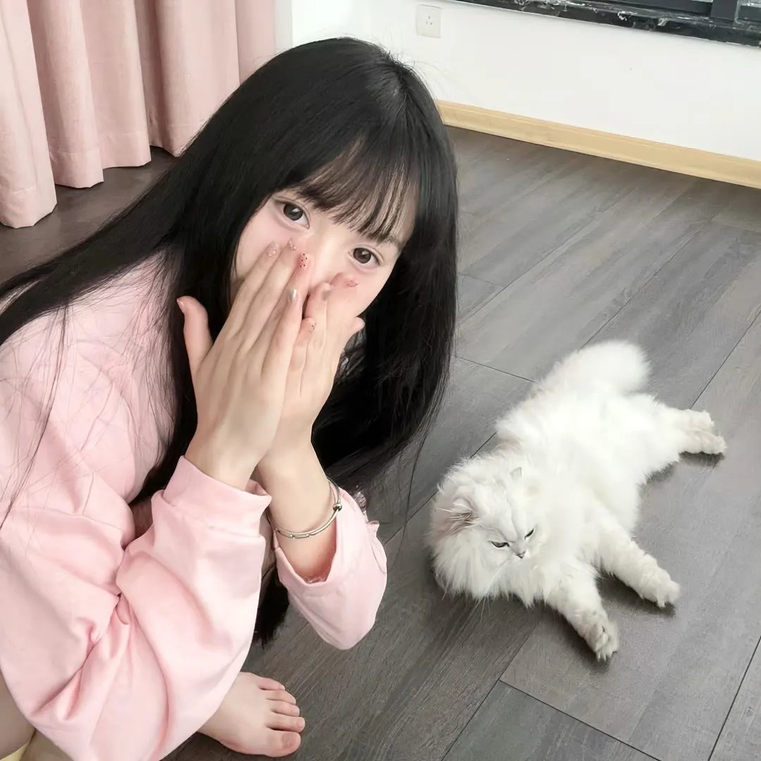 快乐的小鸡
